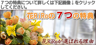 ��RiRo���Ĥ���ŵ�ˤĤ���