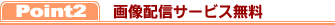 �����ۿ������ӥ�̵��