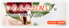 お祝いに贈るフラワーギフト