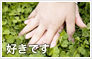 すきですの気持ちを込めて。