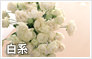 白系のフラワーギフト