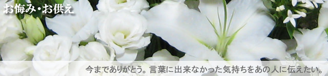 �ԉ��|�t�����[�M�t�g�|�C���^�[�l�b�g��z�ԉ�����Ԃqi�qo�|�@�l�l�t�����[�M�t�g�i�����݁E�������j