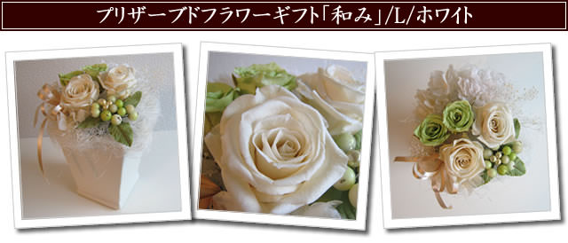 �ֲ� �ե����ե� ���󥿡��ͥå����۲ֲ������RiRo ���¤ߡץץꥶ���֥ɥե����ե�