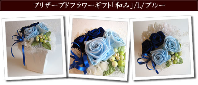 �ֲ� �ե����ե� ���󥿡��ͥå����۲ֲ������RiRo ���¤ߡץץꥶ���֥ɥե����ե�