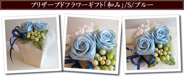�ֲ� �ե����ե� ���󥿡��ͥå����۲ֲ������RiRo ���¤ߡץץꥶ���֥ɥե����ե�