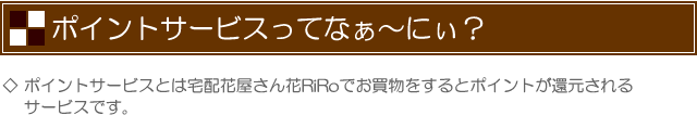 花屋−フラワーギフト−インターネット宅配花屋さん花RiRo−ポイントについて