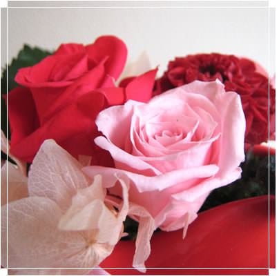 �ֲ� �ե����ե� ���󥿡��ͥå����۲ֲ������RiRo �Х�󥿥���ˤԤä��� �֤�֤Ϥ��ȡץץꥶ���֥ɥե� 