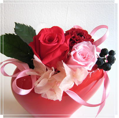 �ֲ� �ե����ե� ���󥿡��ͥå����۲ֲ������RiRo �Х�󥿥���ˤԤä��� �֤�֤Ϥ��ȡץץꥶ���֥ɥե� 