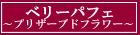 �٥꡼�ѥե����ץꥶ���֥ɥե����ե�