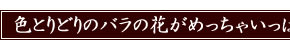 �ԉ��|�t�����[�M�t�g�|��z�ԉ������RiRo�|�u�ʂ�v�v���U�[�u�h�t�����[