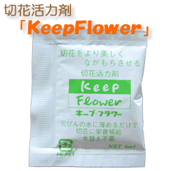 �ԉ��|�t�����[�M�t�g�|�C���^�[�l�b�g��z�ԉ������RiRo�|��z�ԉ�����Ԃqi�qo�̂V����T�i�L�[�v�t�����[�ɂ��āj�j