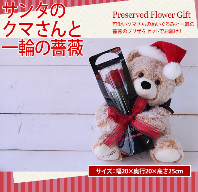 サンタのクマさんと一輪の薔薇 プリザーブドフラワーギフトの通販専門花屋｜花RiRo（ハナリロ）